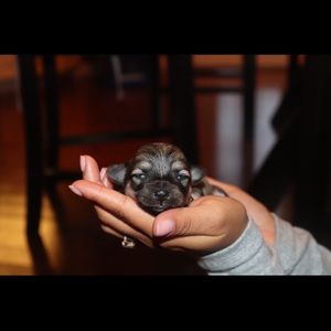 Meet your Posher, Angela